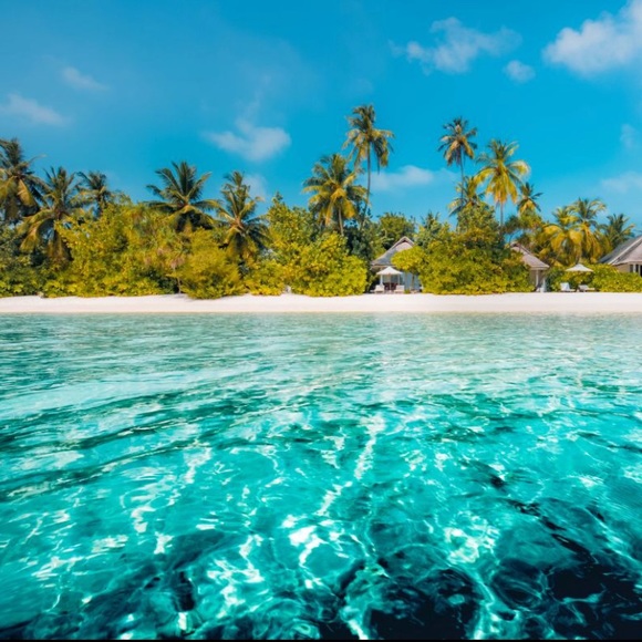 Meet your Posher, Jasmine - Picture 1 of 1